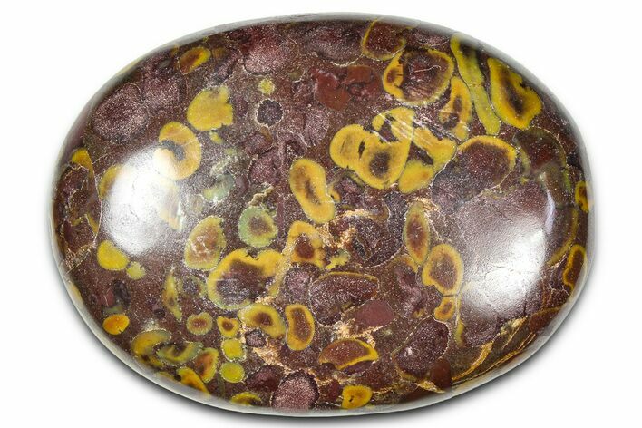 Polished Fruit Jasper Palm Stone - India #342253
